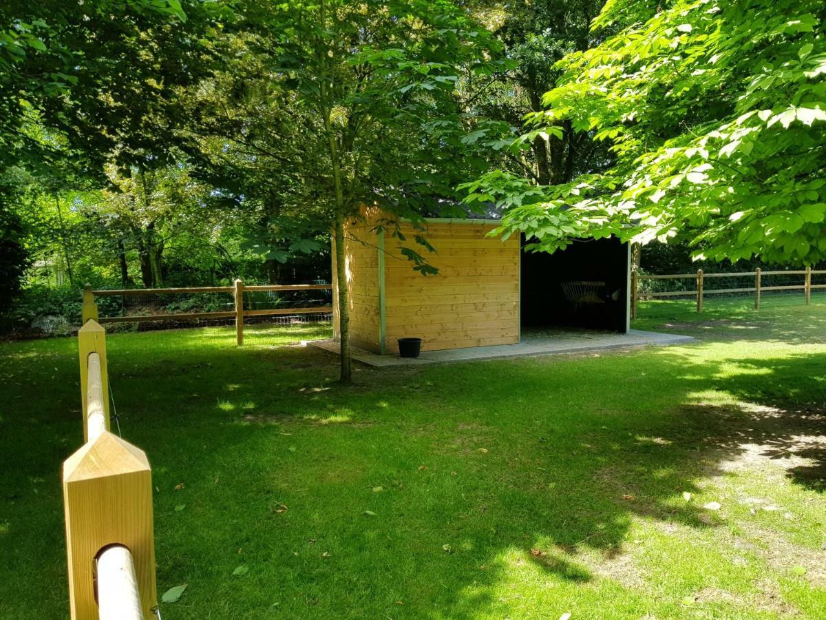Villa The Two Oaks - Private Garden For Guests Hertsberge Exterior foto