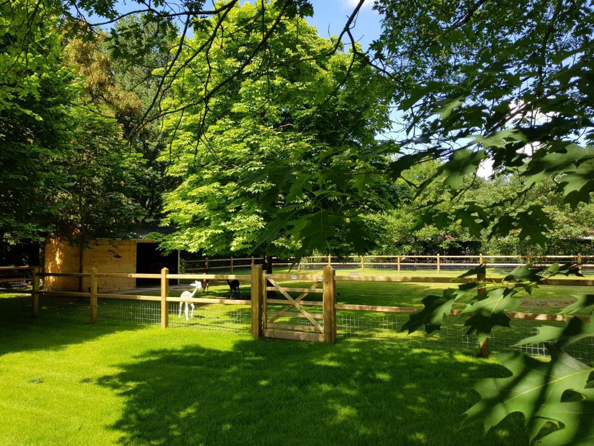 Villa The Two Oaks - Private Garden For Guests Hertsberge Exterior foto